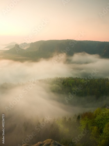 Misty melancholic morning. View into long deep valley full of fresh spring mist. Landscape within daybreak after rainy night