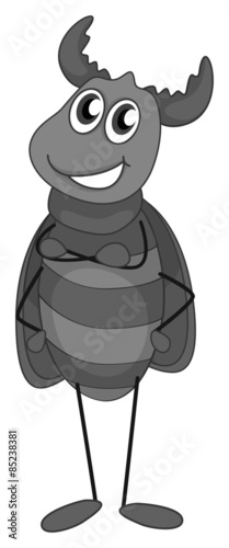 Beetle