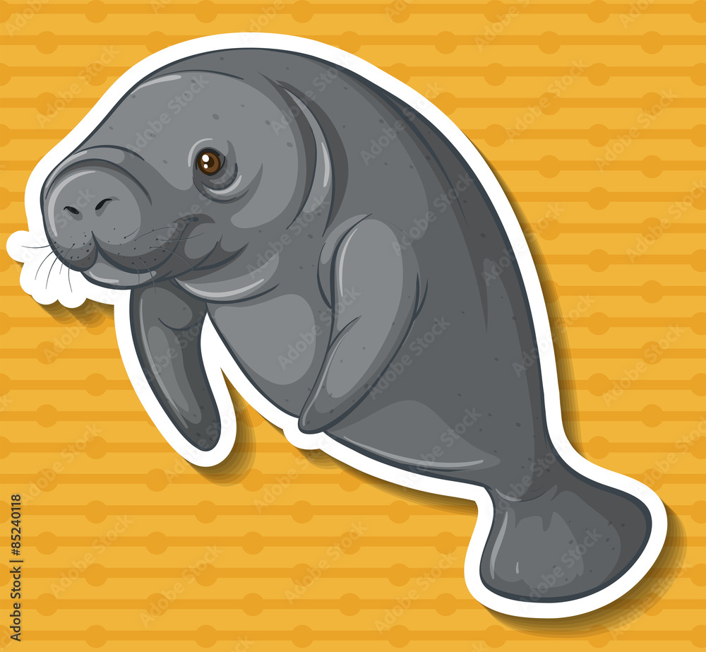 Sea cow Sea cow