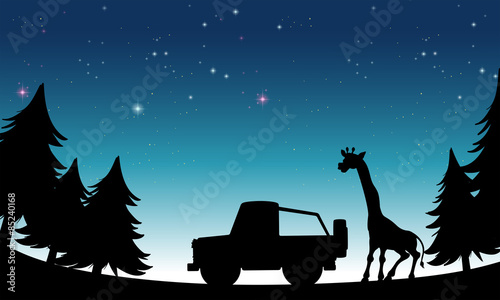 Silhouette safari