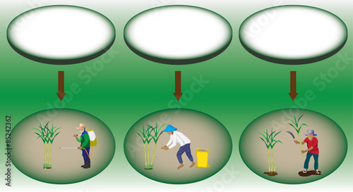 Education Plan vector design