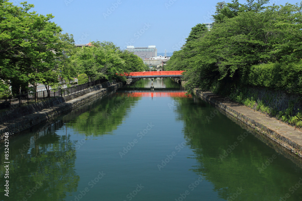 Fototapeta premium 京都 岡崎 新緑の疎水