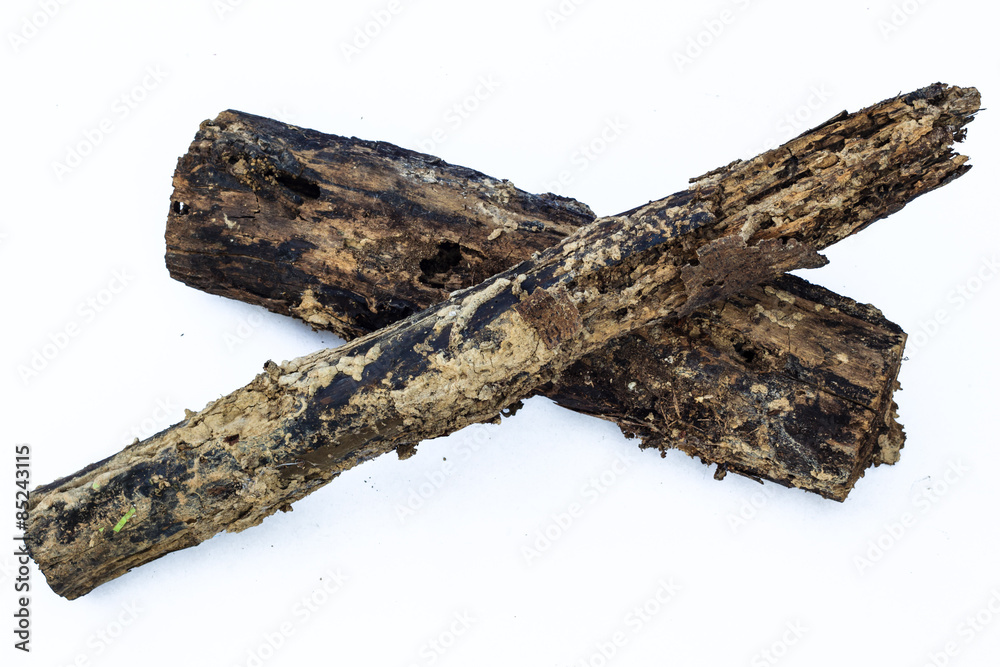 Fototapeta premium old log isolated on white background