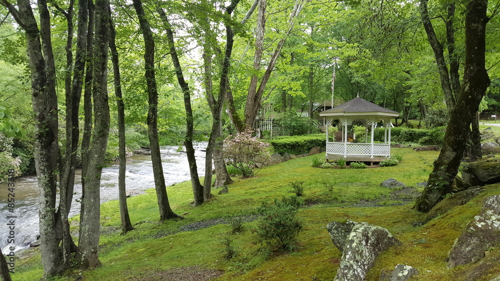 House on a large lot by the creek. House on a large lot by the creek.