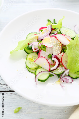 salad with radishes and onions © Olha Afanasieva
