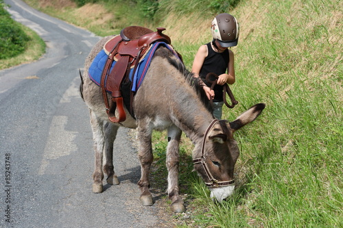 boy and donkey © into the wild