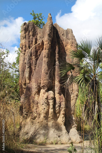 Australia, Giant Termite Mound