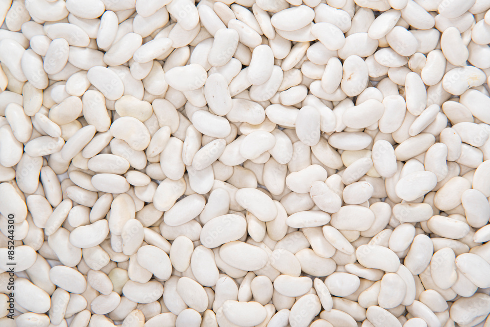 White Beans (food background) White Beans (food background)