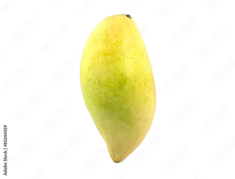 Yellow mango ,thai fruit isolated on a white background Yellow mango ,thai fruit isolated on a white background
