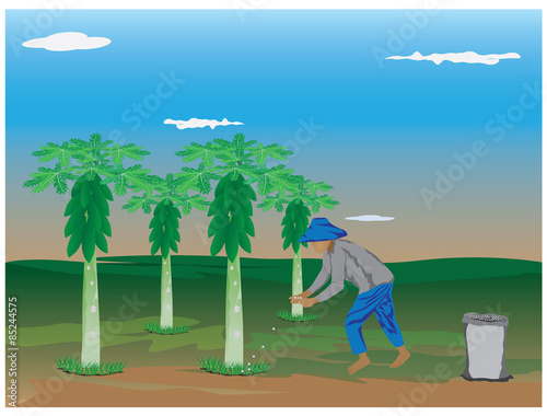 agriculturist manure papaya plant vector design
