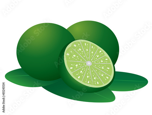 fresh lime vector design