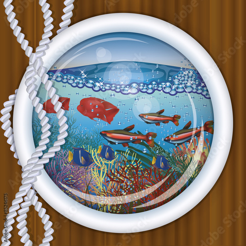Ship porthole tropical underwater background