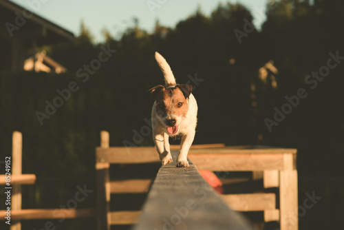 Fototapeta Naklejka Na Ścianę i Meble -  Rope-walker
