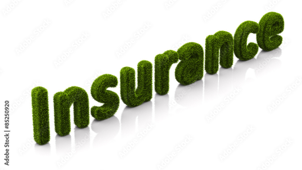conceptual word insurance covered of grass isolated on white background conceptual word insurance covered of grass isolated on white background
