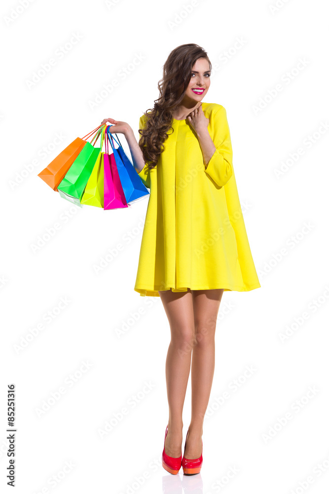 Fashionable Girl With Shopping Bags