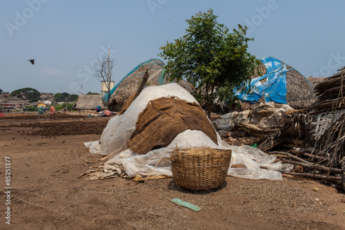 Inde. Tas de poissons séchés recouvert, village de Cuddalore, Tamil Nadu photo