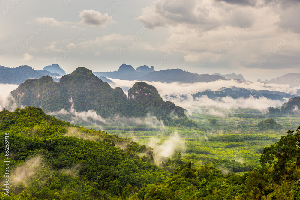 Mountain landscape with mist