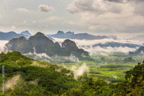 Mountain landscape with mist