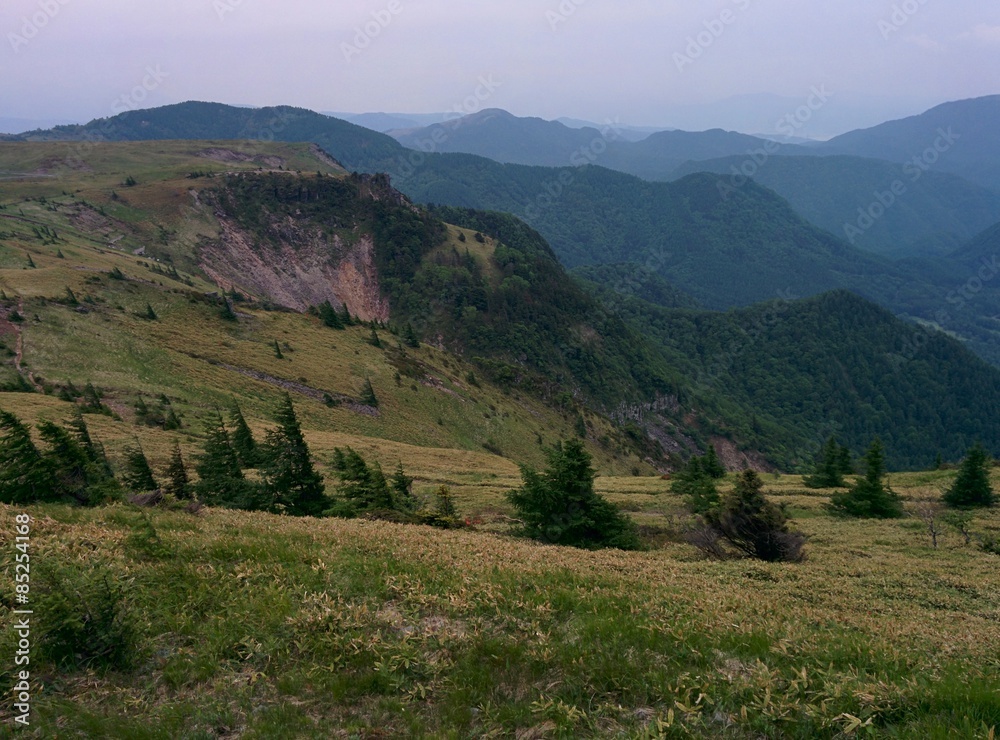 Fototapeta premium Utsukushigahara heights in Nagano, Japan