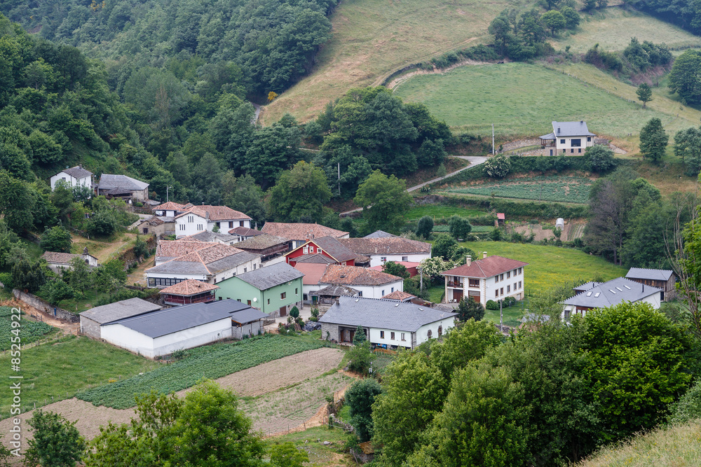 Vegameoro en el valle de Leitariegos, Asturias