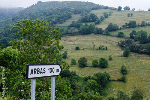 Arbas en el valle de Leitariegos, Asturias photo