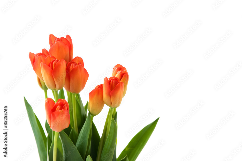 beautiful bouquet of orange tulips