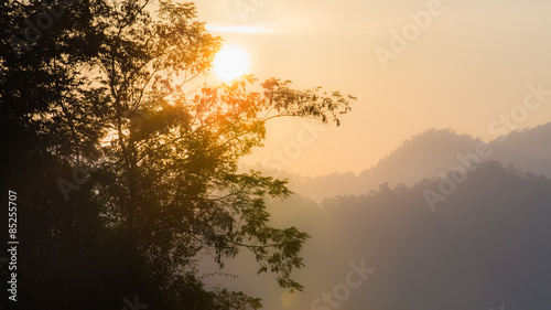 Sunset on forest lake background