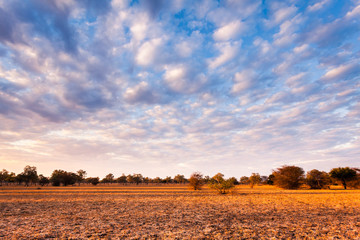 Crédence de cuisine Afrique Vaste paysage de la savane africaine  © sabino.parente