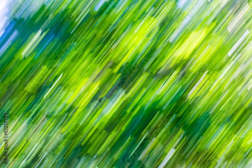 Blurry abstract background of green summer forest