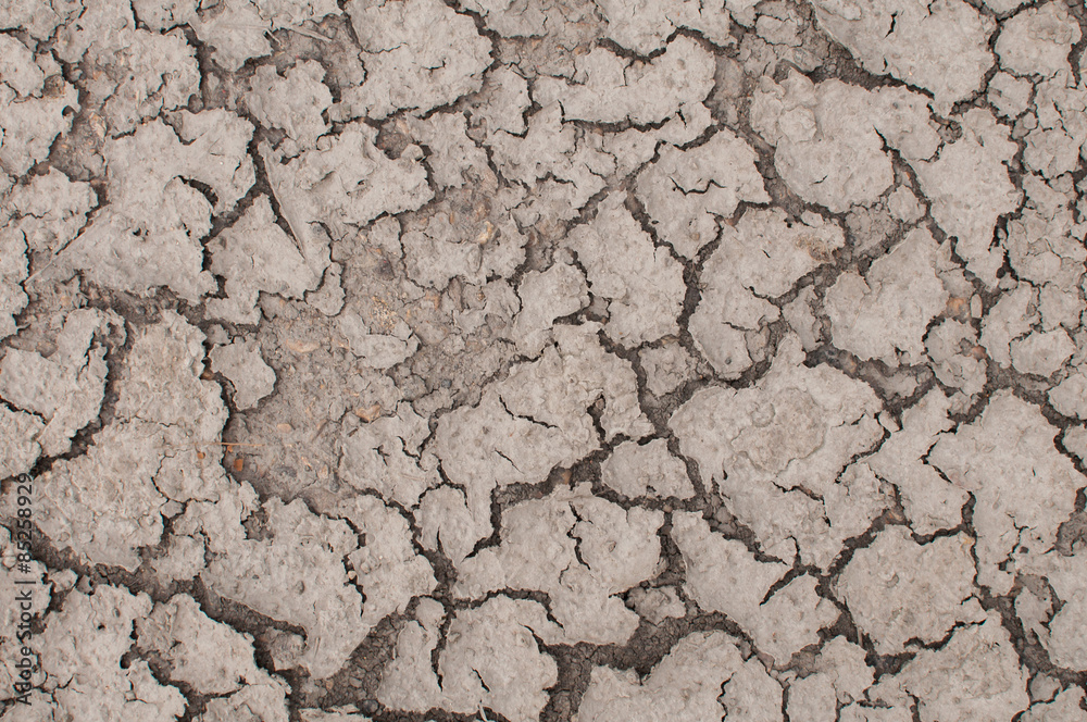 Fototapeta premium cracked ground, background texture.