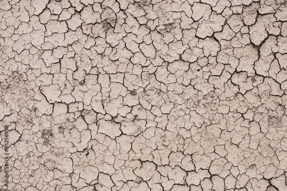 cracked ground, background texture. cracked ground, background texture.