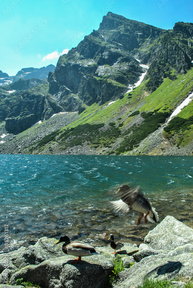 Czarny Staw Gasienicowy ans Koscielec peak