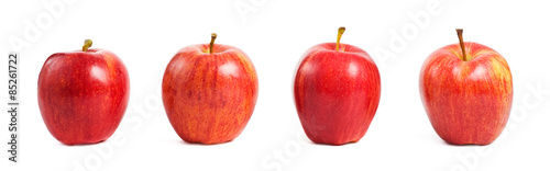 Gala Apples in a row on white background