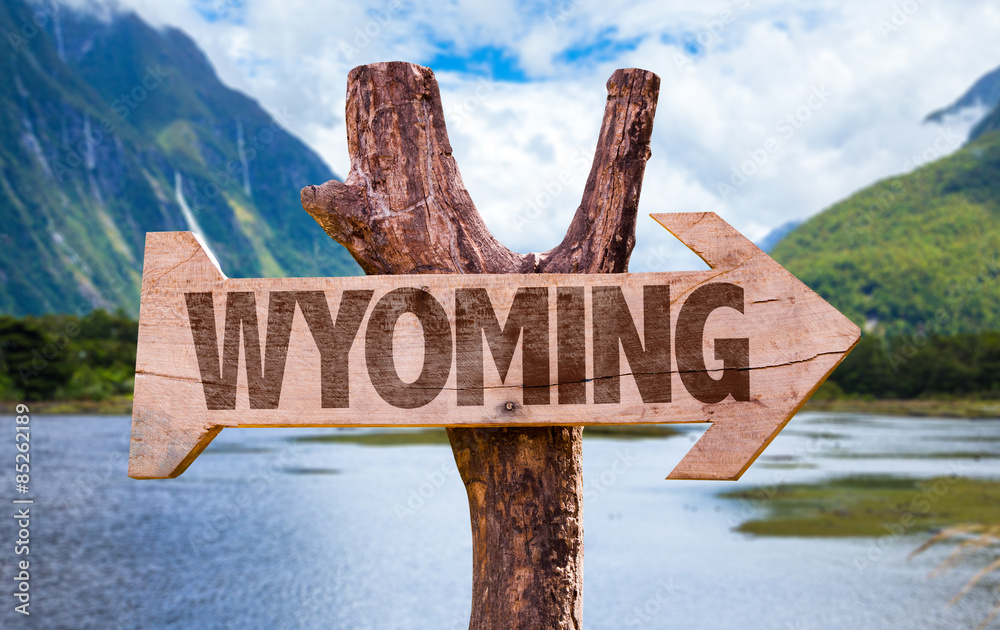 Wyoming wooden sign with mountains background