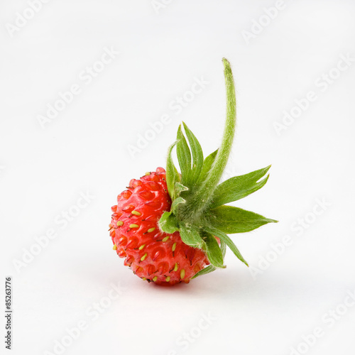 wild strawberry on a white background close-up