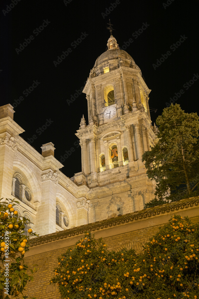 Malaga Cathedral at night