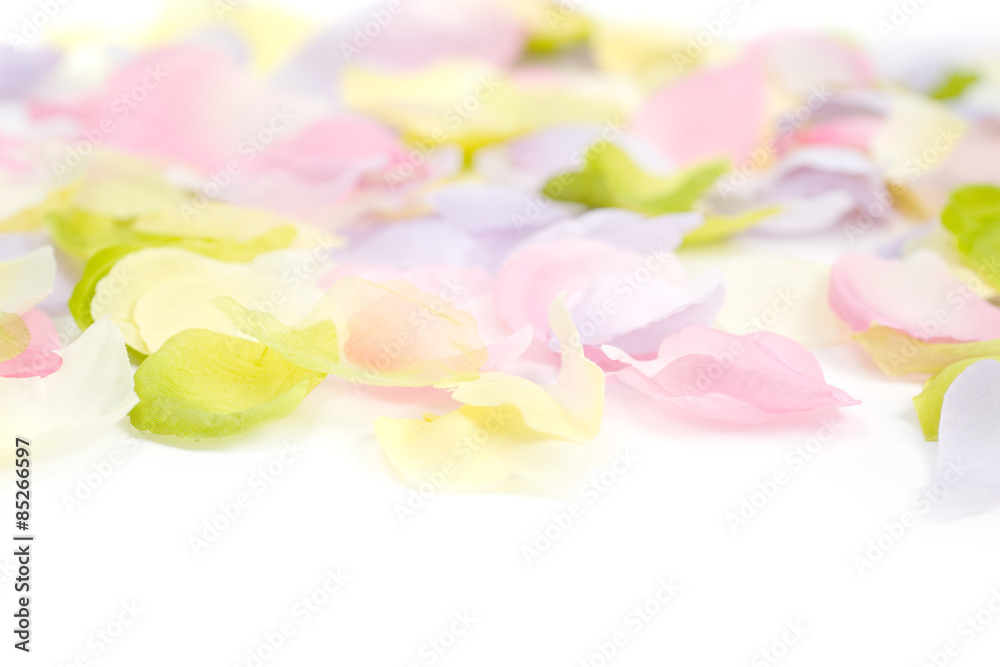 Pastel Petals for Easter and spring themes. 
