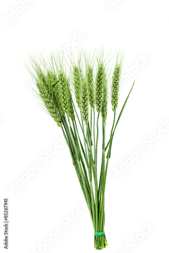 green ears of wheat
