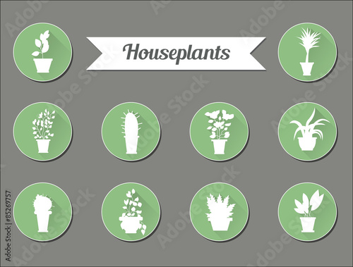 Set of flat vector icons. House plants.Illustration