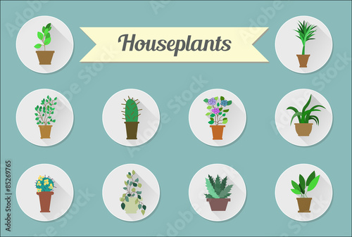 Set of flat vector icons. House plants.Illustration