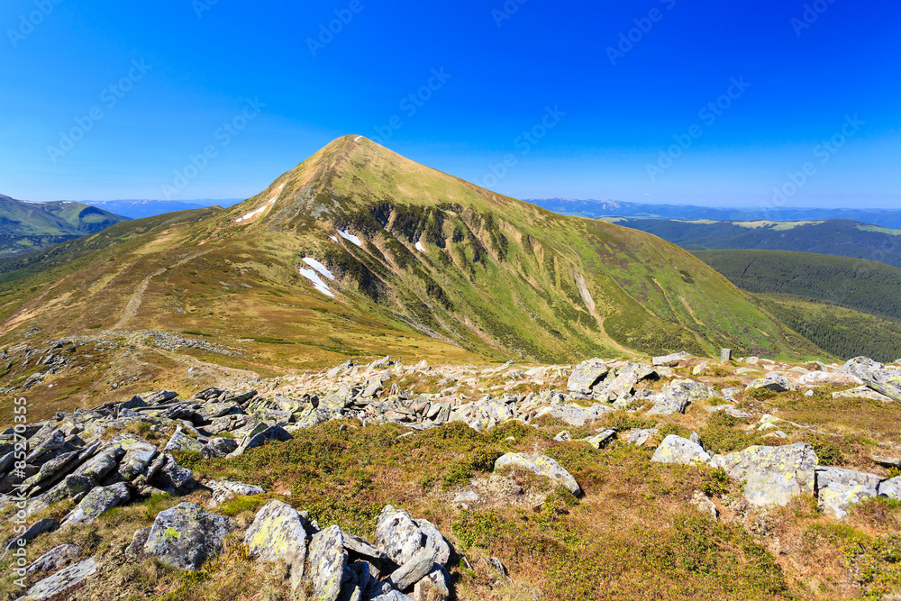 Fototapeta premium Carpathian mountains