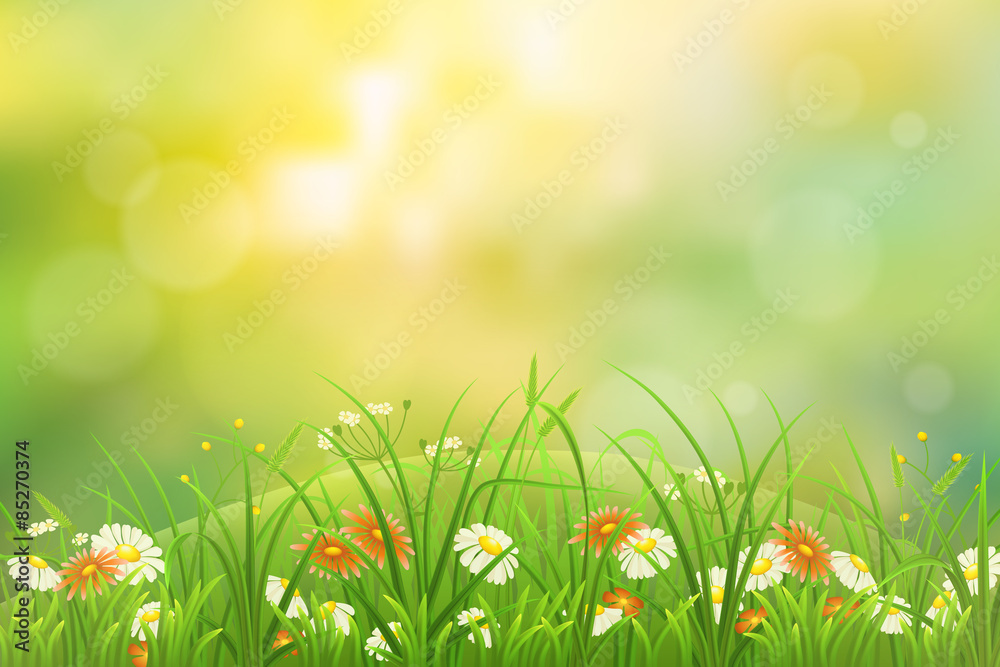 Summer nature background with green grass and flowers