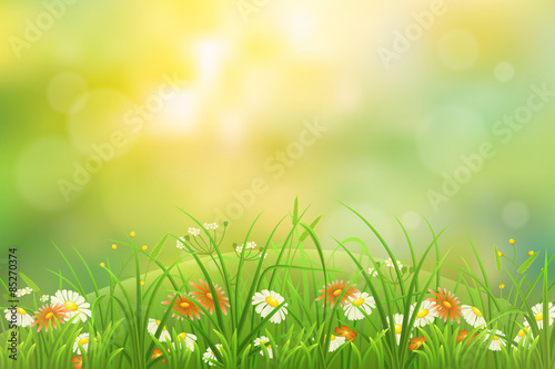 Summer nature background with green grass and flowers