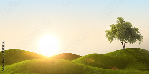 3d rendering of a green field