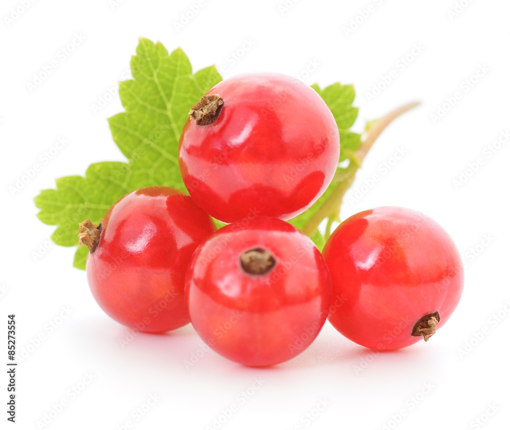 Four red currants