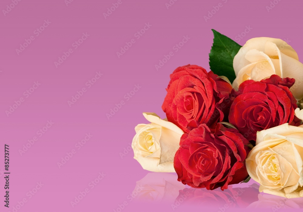 Rose, Yellow, Flower.