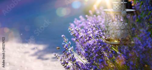 art Summer or spring beautiful garden with lavender flowers