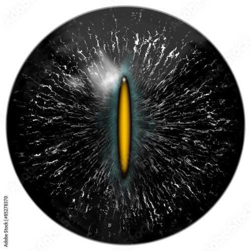 Fototapeta Naklejka Na Ścianę i Meble -  Black cat, reptile or alien eye with narrow yellow pupil