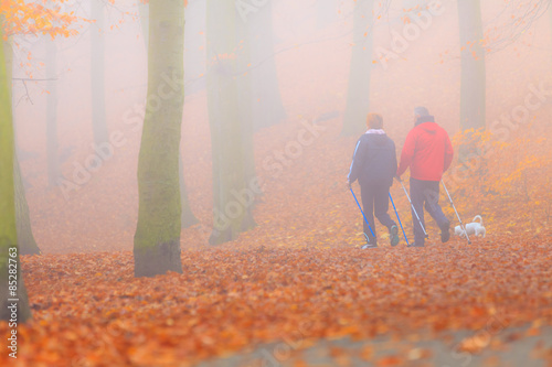 Rear view couple walking in autumn forest.