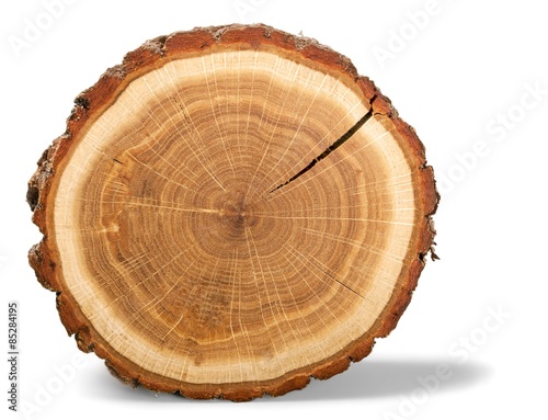 Tree Ring, Log, Wood.